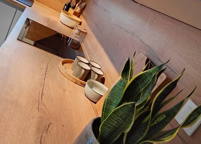 A&j Okruk 트로기르